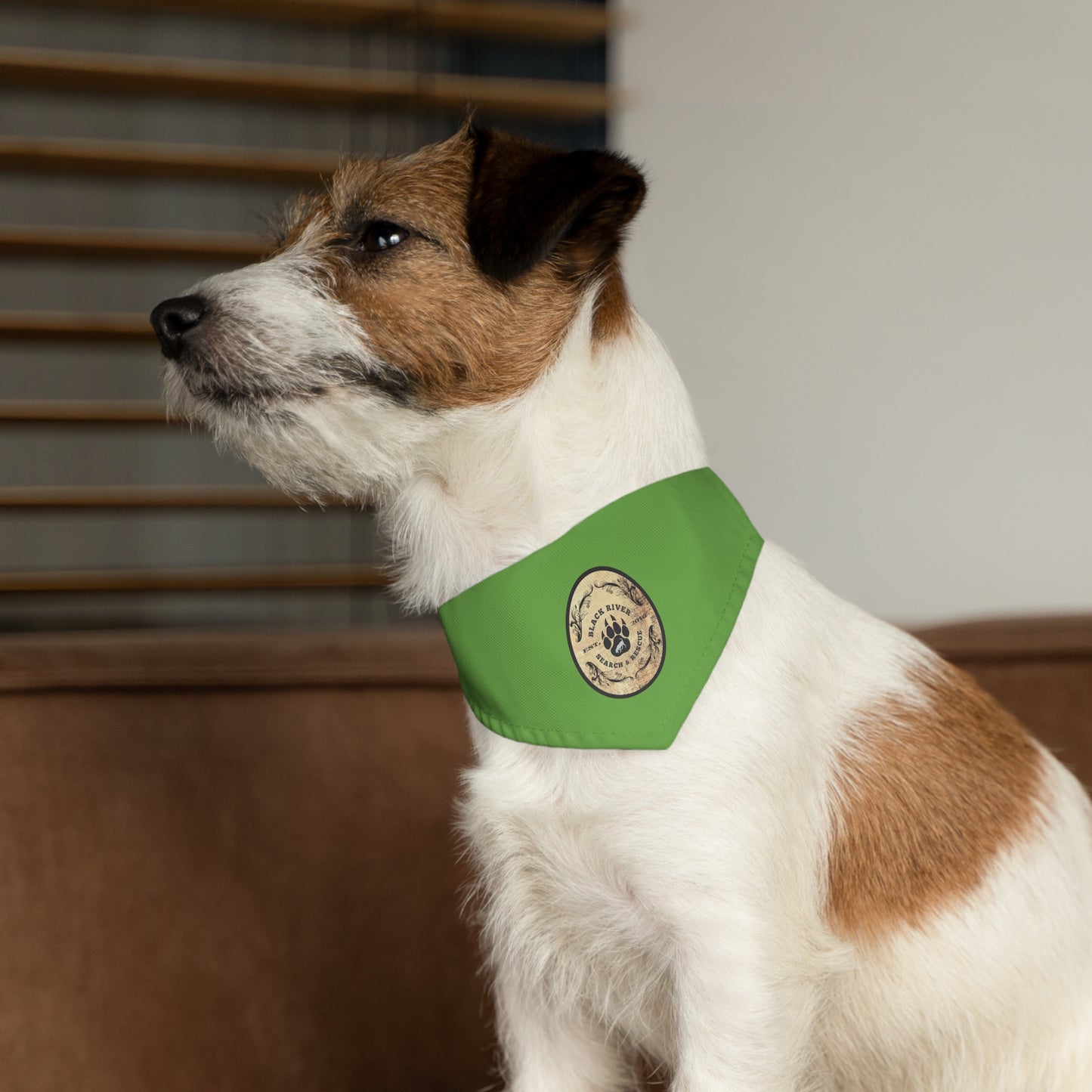 Black River Search & Rescue Logo Pet Bandana Collar