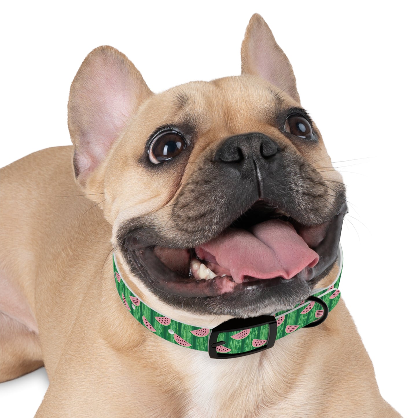 Watermelon Dog Collar