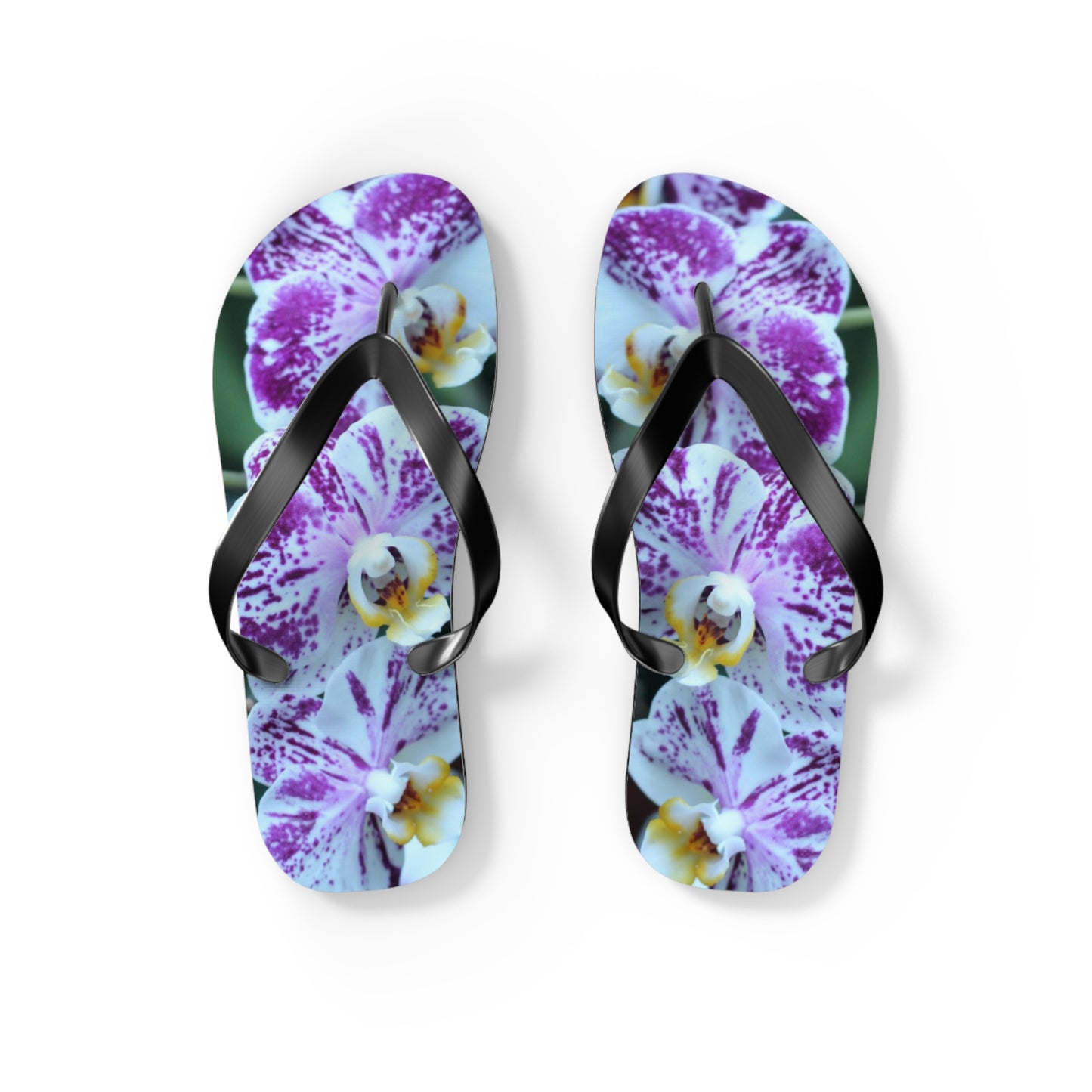 Flip Flops, Orchids, Purple, Flowers