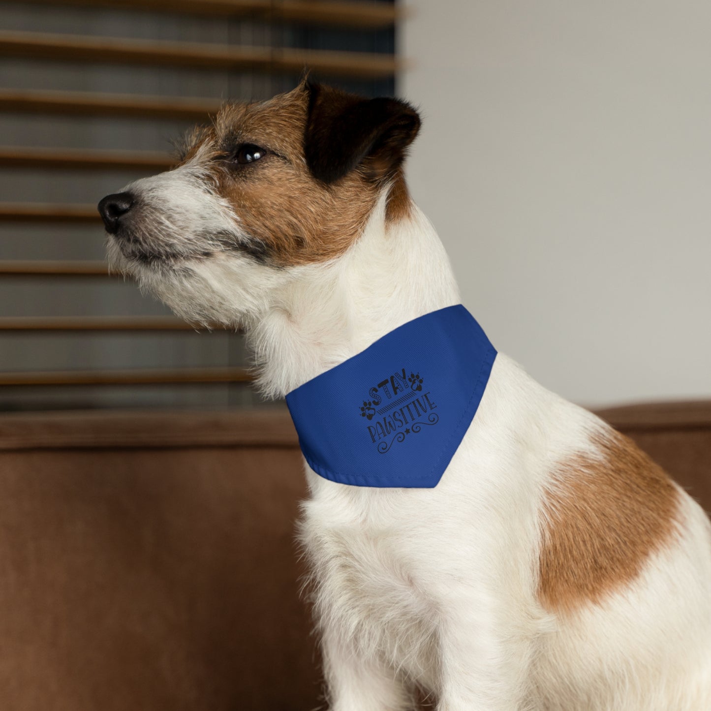 Pet Bandana Collar, Stay Pawsitive, Dark Blue