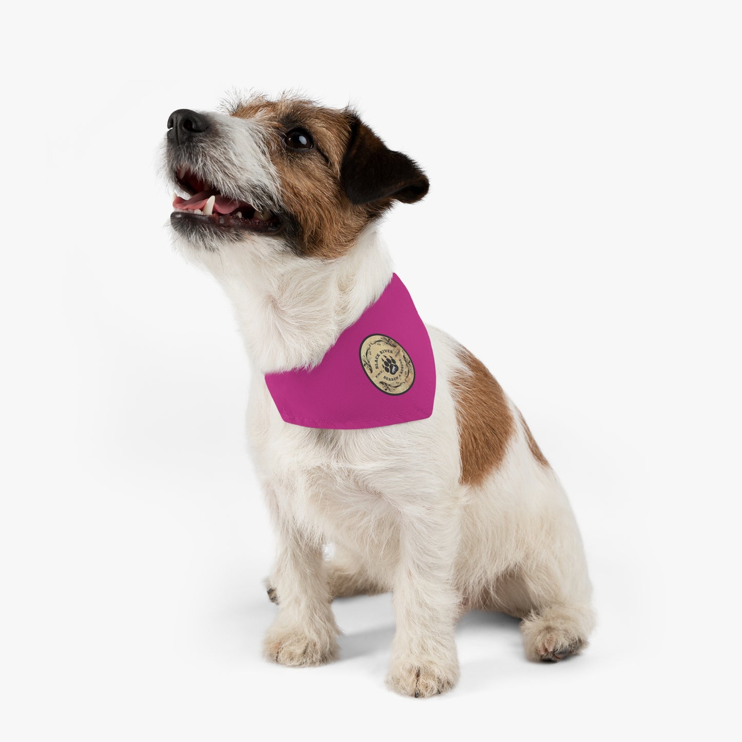 Pink Black River Search & Rescue Logo Pet Bandana Collar